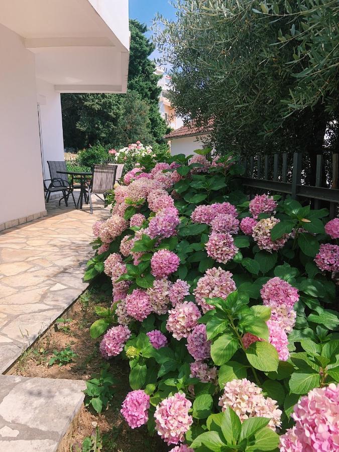 Apartments Hollaj أولتْسي المظهر الخارجي الصورة